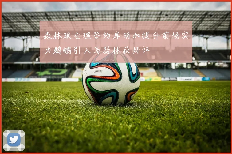 森林狼合理签约库明加提升前场实力鹈鹕引入马瑟林获好评